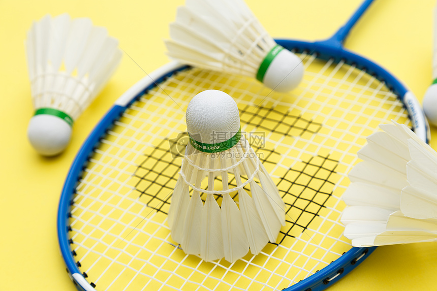 的小到中等 的小到中等